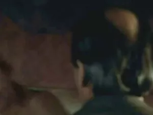 قررت أن يكون افلام س ...