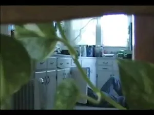 هايلي xnxx أجنبية وا ...
